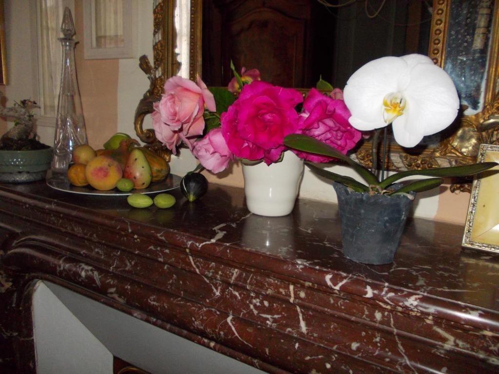 B&B Maison Gaudin Cognac Dış mekan fotoğraf